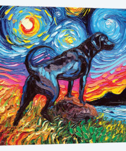 Black Labrador Night II