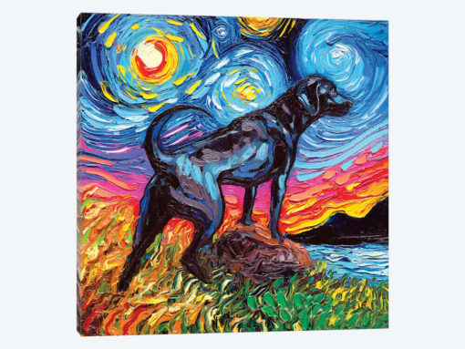 Black Labrador Night II