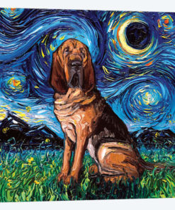 Bloodhound Night
