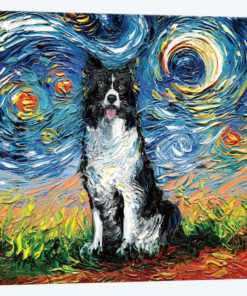 Border Collie Night II