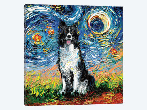 Border Collie Night II
