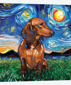 Brown Shorthair Dachshund Night