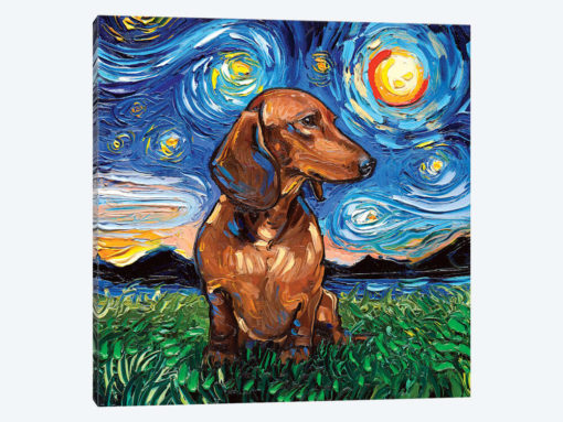 Brown Shorthair Dachshund Night