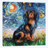 Cavalier King Charles Spaniel Night
