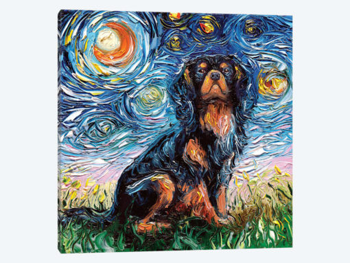 Cavalier King Charles Spaniel Night