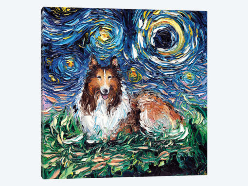 Collie Night