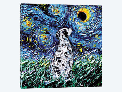 Dalmatian Night