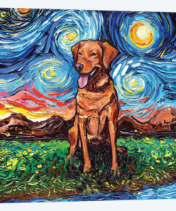 Fox Red Labrador Night