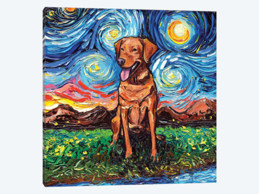 Fox Red Labrador Night