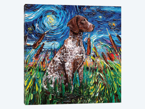 German Shorthair Night