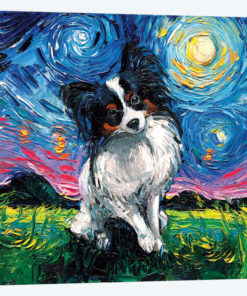Papillon Night