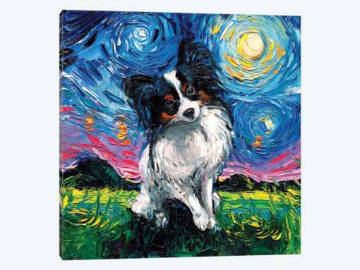 Papillon Night
