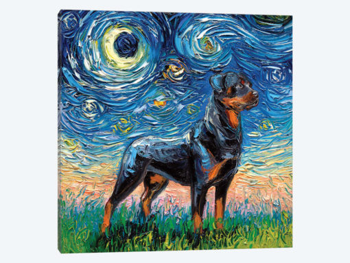 Rottweiler Night I