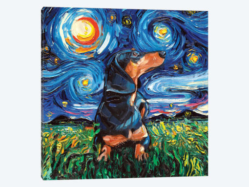 Black And Tan Dachshund Night