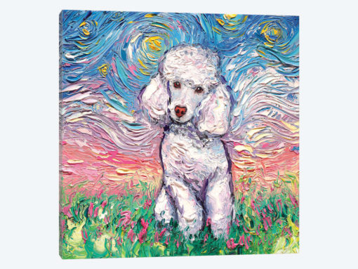 White Poodle Night
