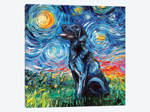 Black Labrador Night I