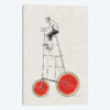 Melon Bike