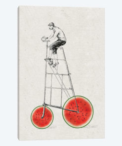 Melon Bike