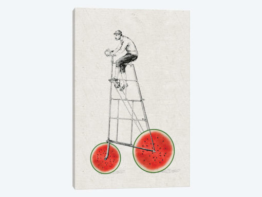 Melon Bike