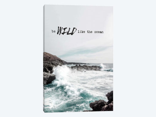 Wild Like The Ocean