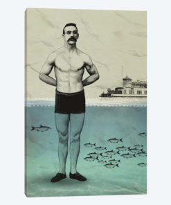 Beachboy
