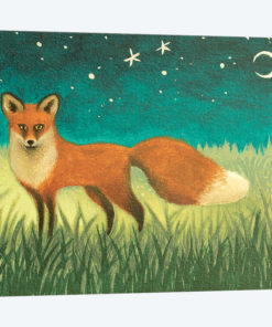 Night Fox