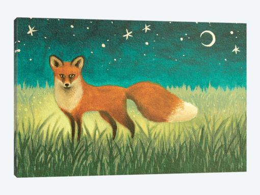 Night Fox