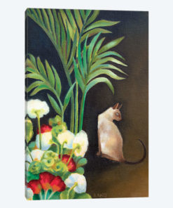 Siamese Cat