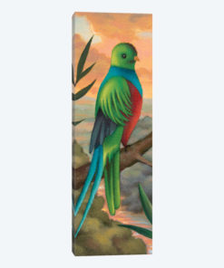 Exotic Bird