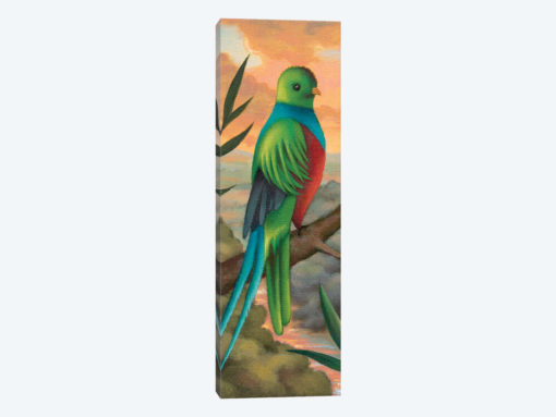 Exotic Bird
