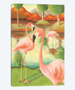 Flamingos