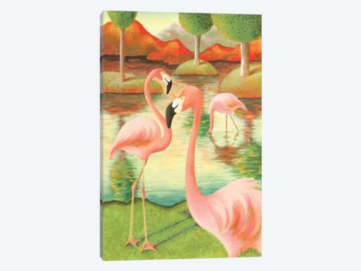 Flamingos