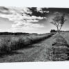 Stone Wall