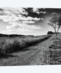 Stone Wall