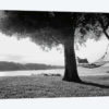 Summer Reprise