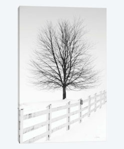 Along The Lane III
