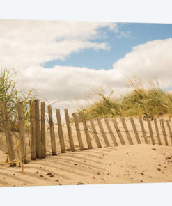 Beach Dunes I