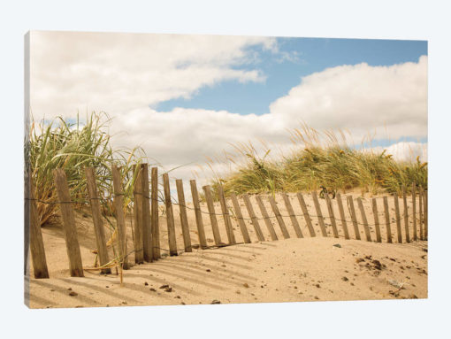 Beach Dunes I
