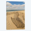 Beach Dunes II