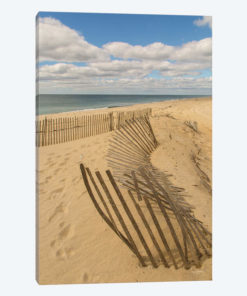 Beach Dunes II