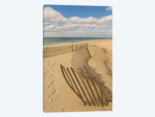 Beach Dunes II