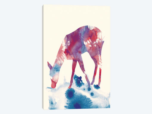 Fawn III