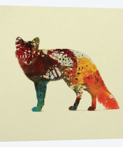 Foxy