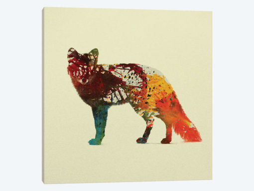 Foxy