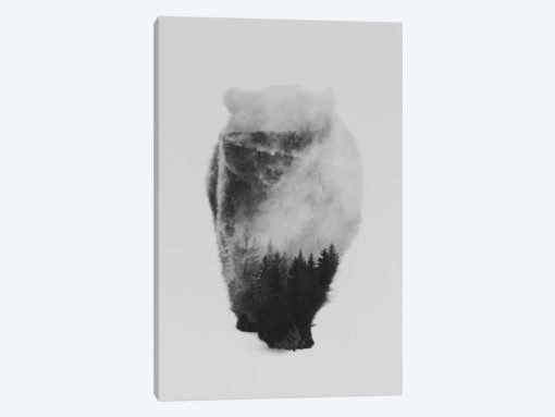 Approaching Bear in B&W