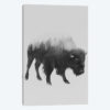 The Bison in B&W