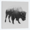 Bison I in B&W