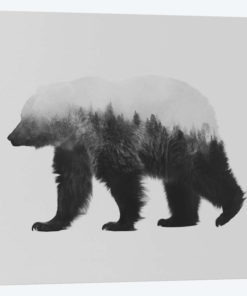 Bjorn II in B&W