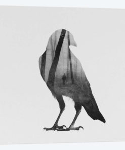Crow in B&W