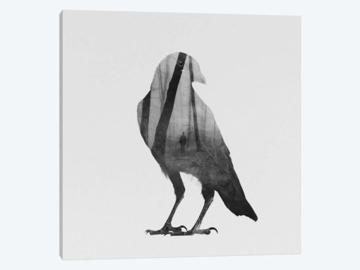 Crow in B&W